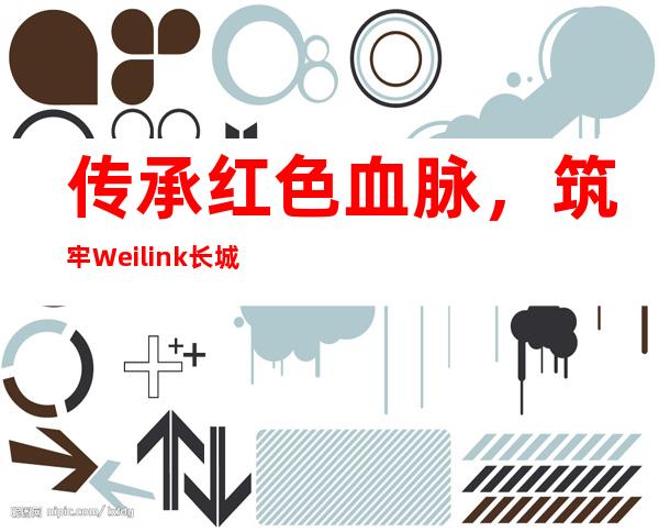 传承红色血脉，筑牢Weilink长城